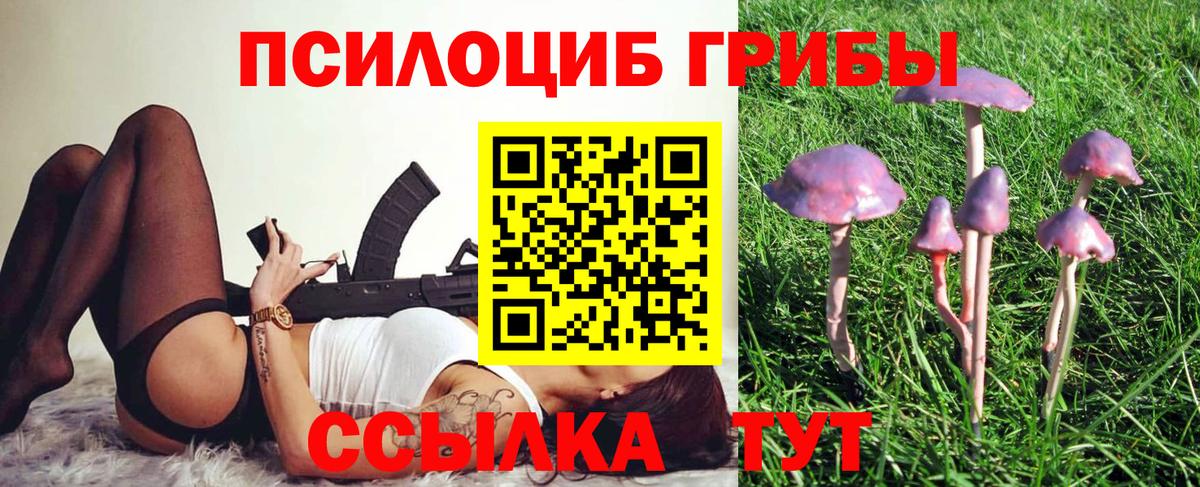 Дедовск  Псилоцибиновые грибы Magic Shrooms  Псилоцибиновые грибы MAGIC MUSHROOMS  Вход с VPN 